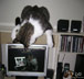logan the cat