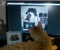 jack the cat