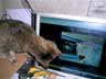 Seven of Nine the cat