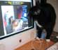 Mittens the cat