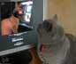 Lea the cat