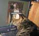 WonTon the cat