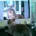 Zero the cat