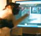 Gizmo the cat