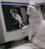 Jules the cat