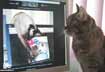 Cain the cat
