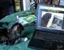 Fanny the cat