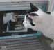 Eddie Wacko the kitty