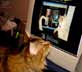 Max the cat