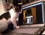 Gabriel the cat