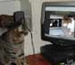Lepa the cat